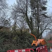 RMH Forestry - cornwall arborist tree work