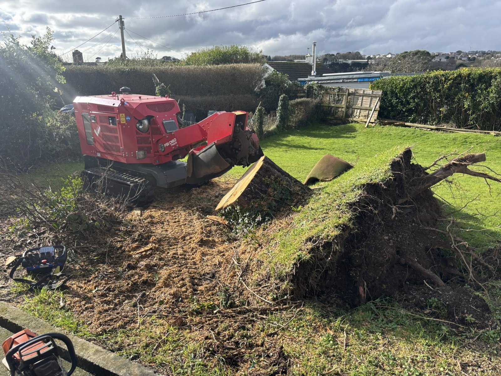 RMH Forestry - professional tree surgery cornwall